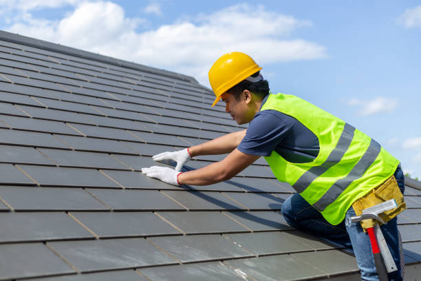 Roof Gutter Cleaning in Delta, OH